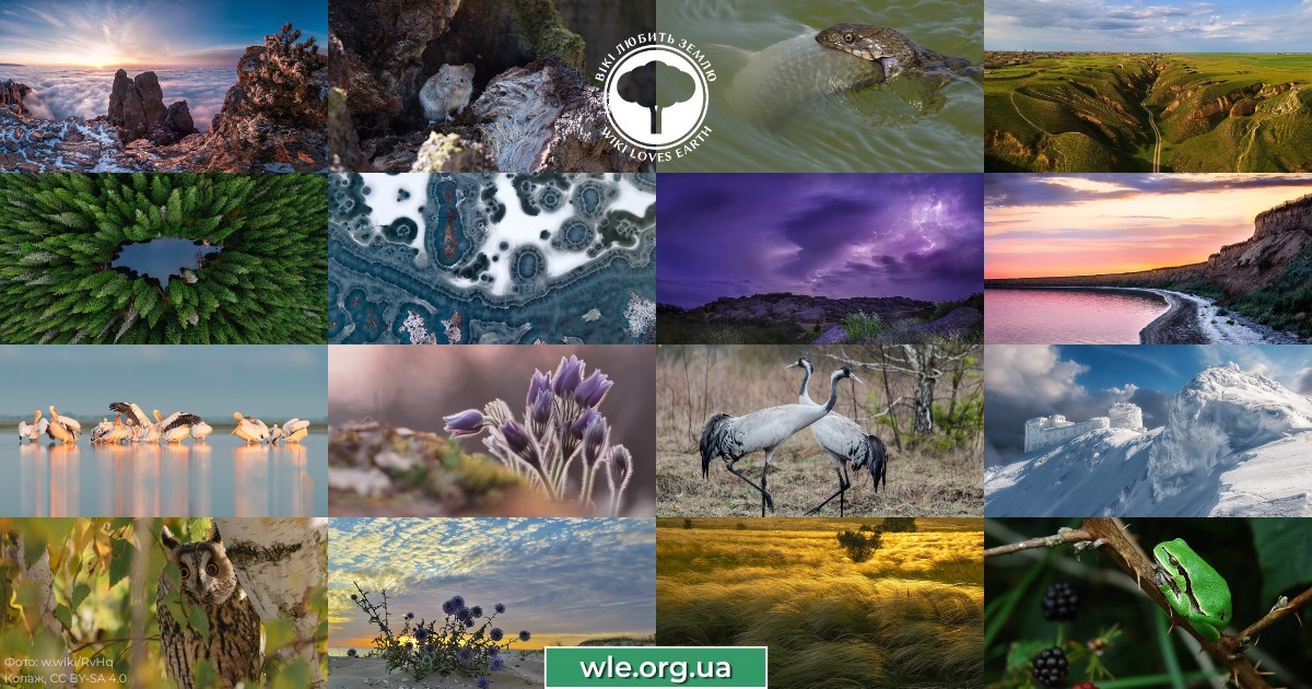 dodatok_2_poster_Wiki_Loves_Earth_2026.jpg